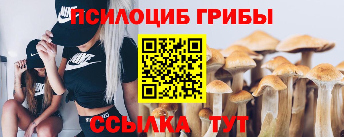 Псилоцибиновые грибы мухоморы Тамбов